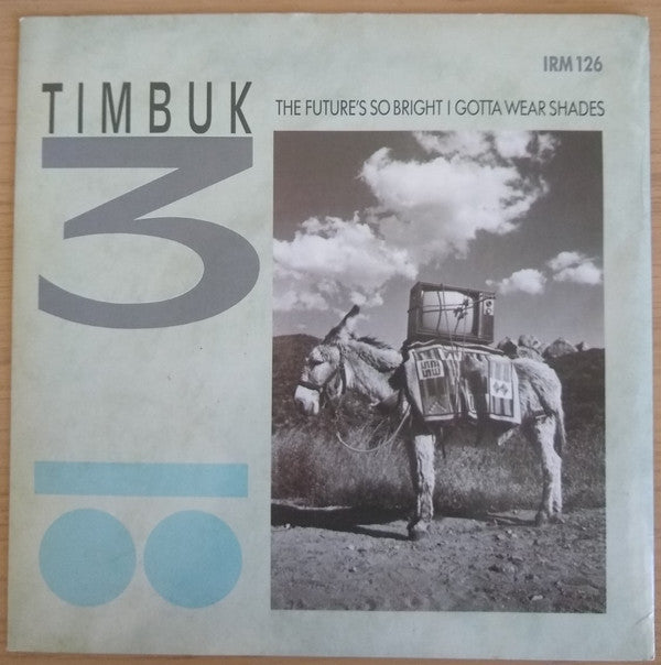 Timbuk 3 - Future's So Bright I Gotta Wear Shades - Used Vinyl Record