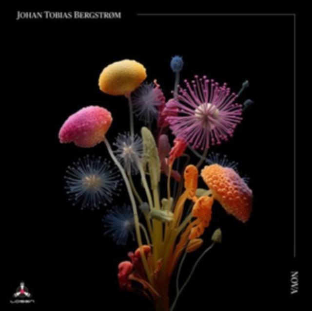 Johan Tobias Bergstr - Nova - CD