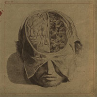 FARSOT - INSECTS - CD