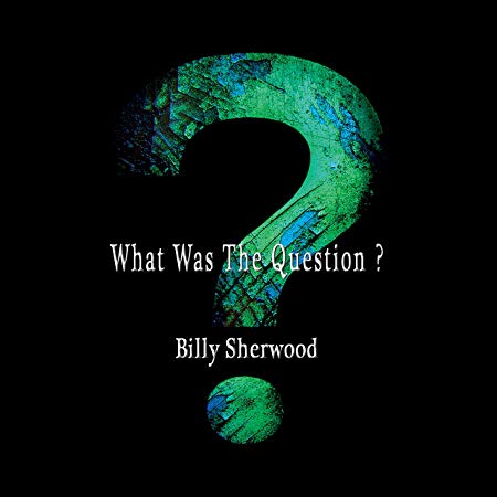Billy Sherwood - What Was the Question? - CD