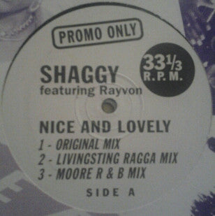 Shaggy - Nice And Lovely - Used Vinyl Record 12"