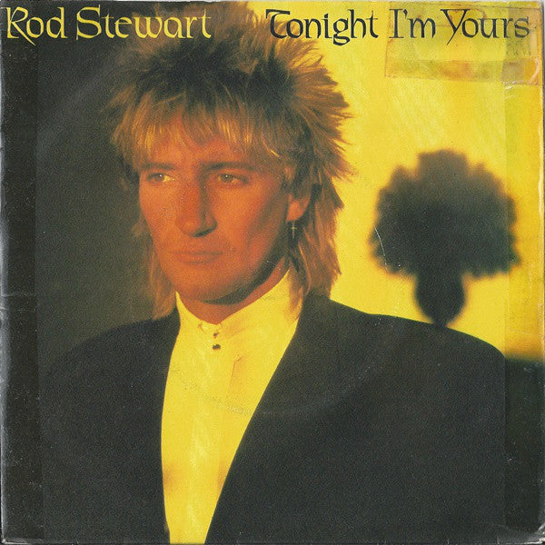 Rod Stewart - Tonight I'm Yours - Used Vinyl Record 7"