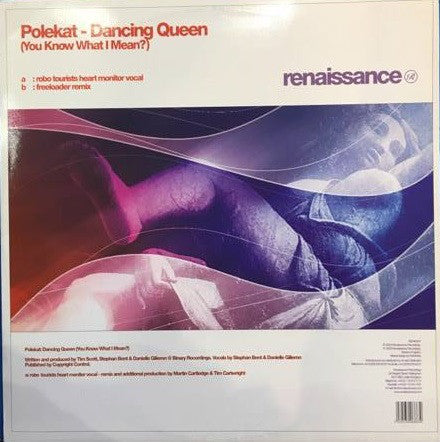 Polekat - Dancing Queen (You Know What I Mean?) - Used Vinyl Record 1