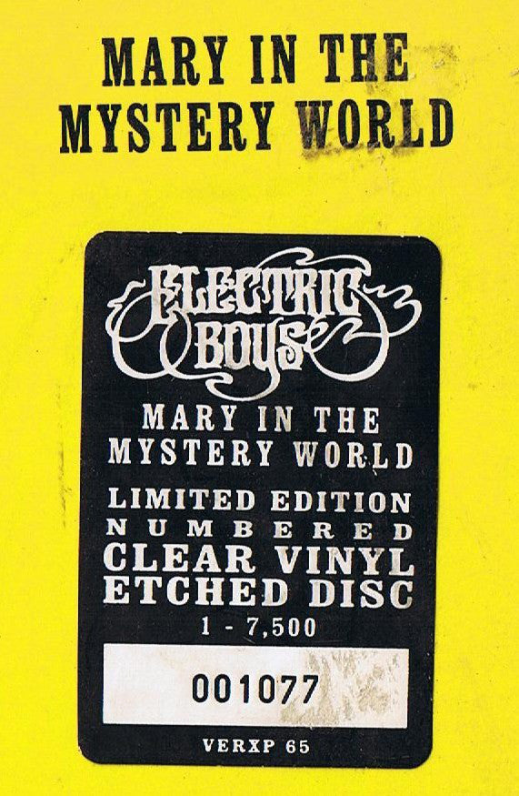 Electric Boys - Mary In The Mystery World - Used Vinyl Record 12"