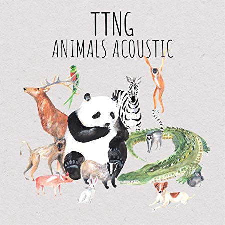 This Town Needs Guns - Animals Acoustic - CD