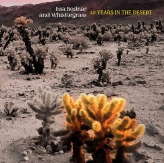 BODNAR - 40 YEARS IN THE DESERT - CD