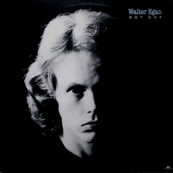 Walter Egan - Not Shy - Used Vinyl Record
