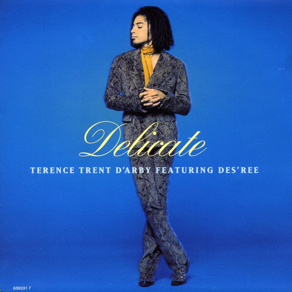 Terence Trent D'Arby - Delicate - Used Vinyl Record 7"
