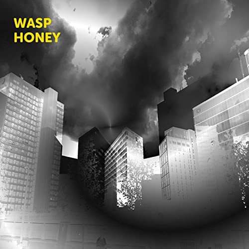 MARTIN ARCHER - WASP HONEY - CD