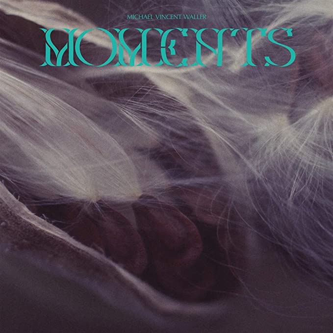 MICHAEL VINCENT WALL - MOMENTS - Vinyl Record