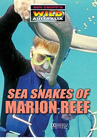 Ben Cropp's Wild Australia: Sea Snakes of Marion Reef - DVD