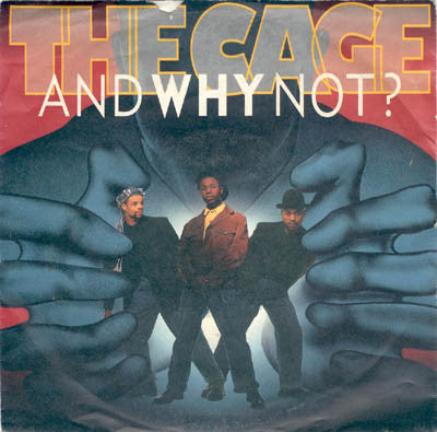 And Why Not? - Cage - Used Vinyl Record 7"