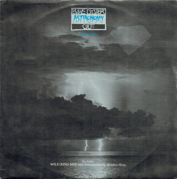 Blue Oyster Cult - Astronomy - Used Vinyl Record 12"