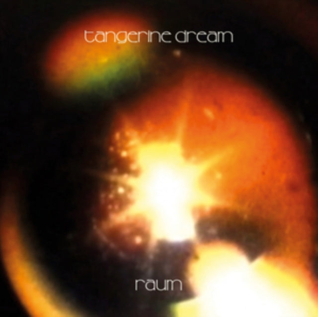 Raum - Vinyl Record2