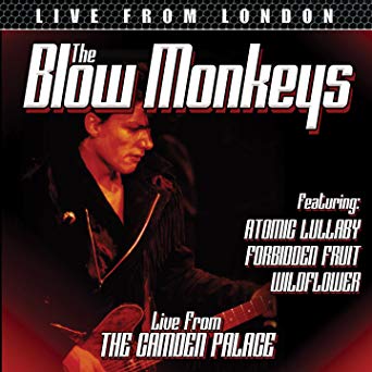 Blow Monkeys - Live From London - New DVD