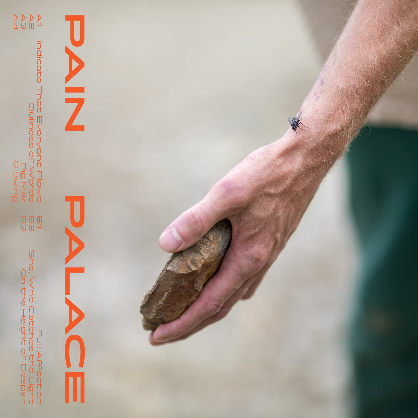 PAIN PALACE - Vinyl Record