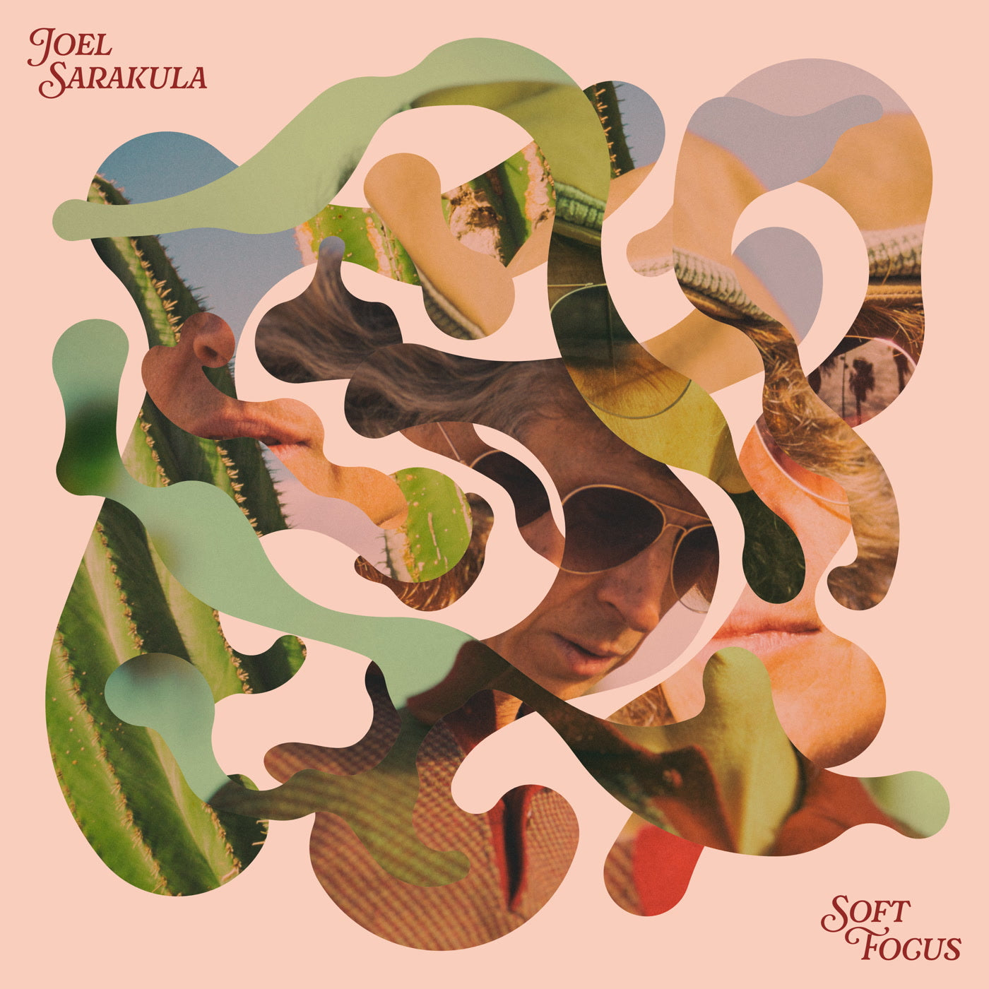 Joel Sarakula - Soft Focus - Vinyl Record