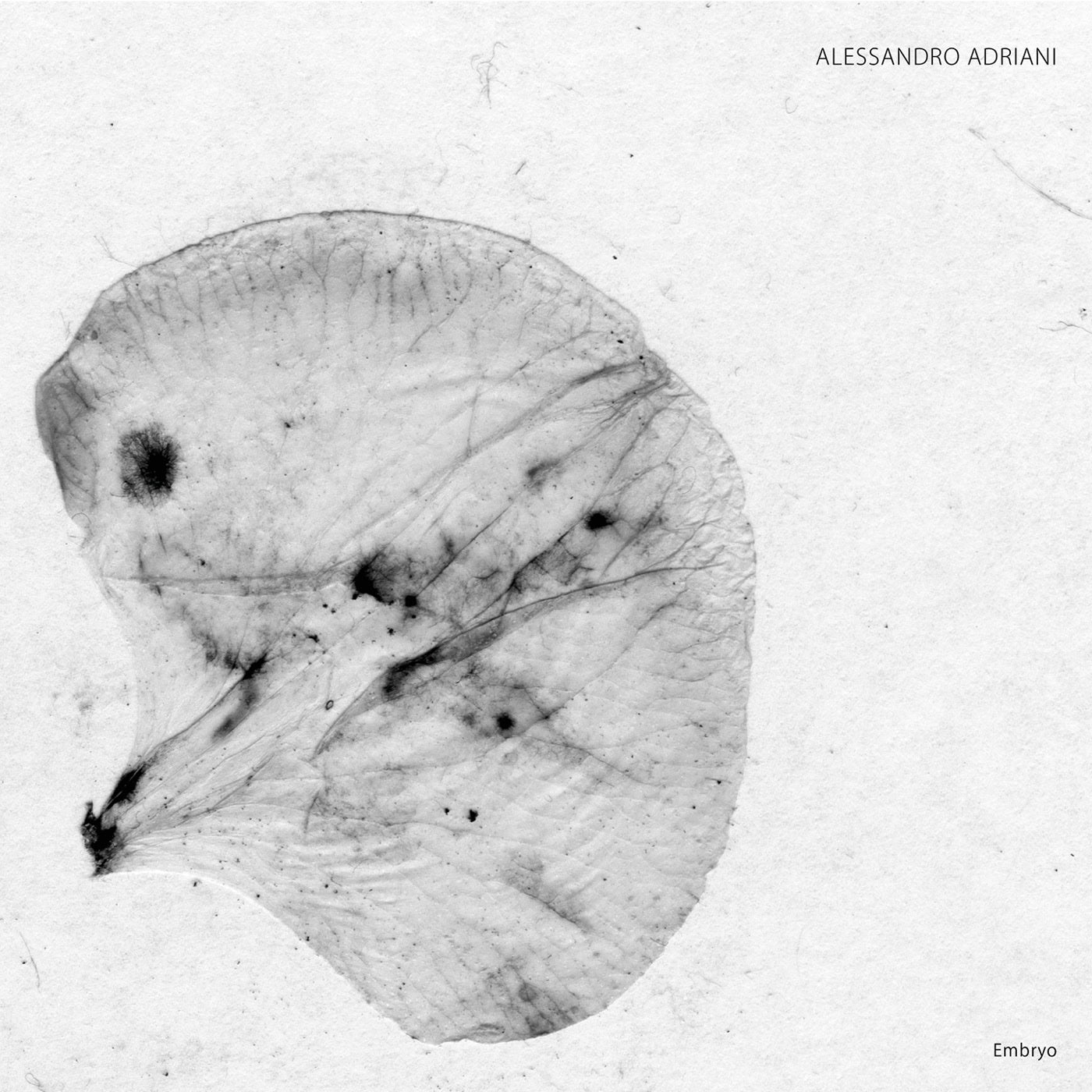Alessandro Adriani - Embryo - Vinyl Record 12