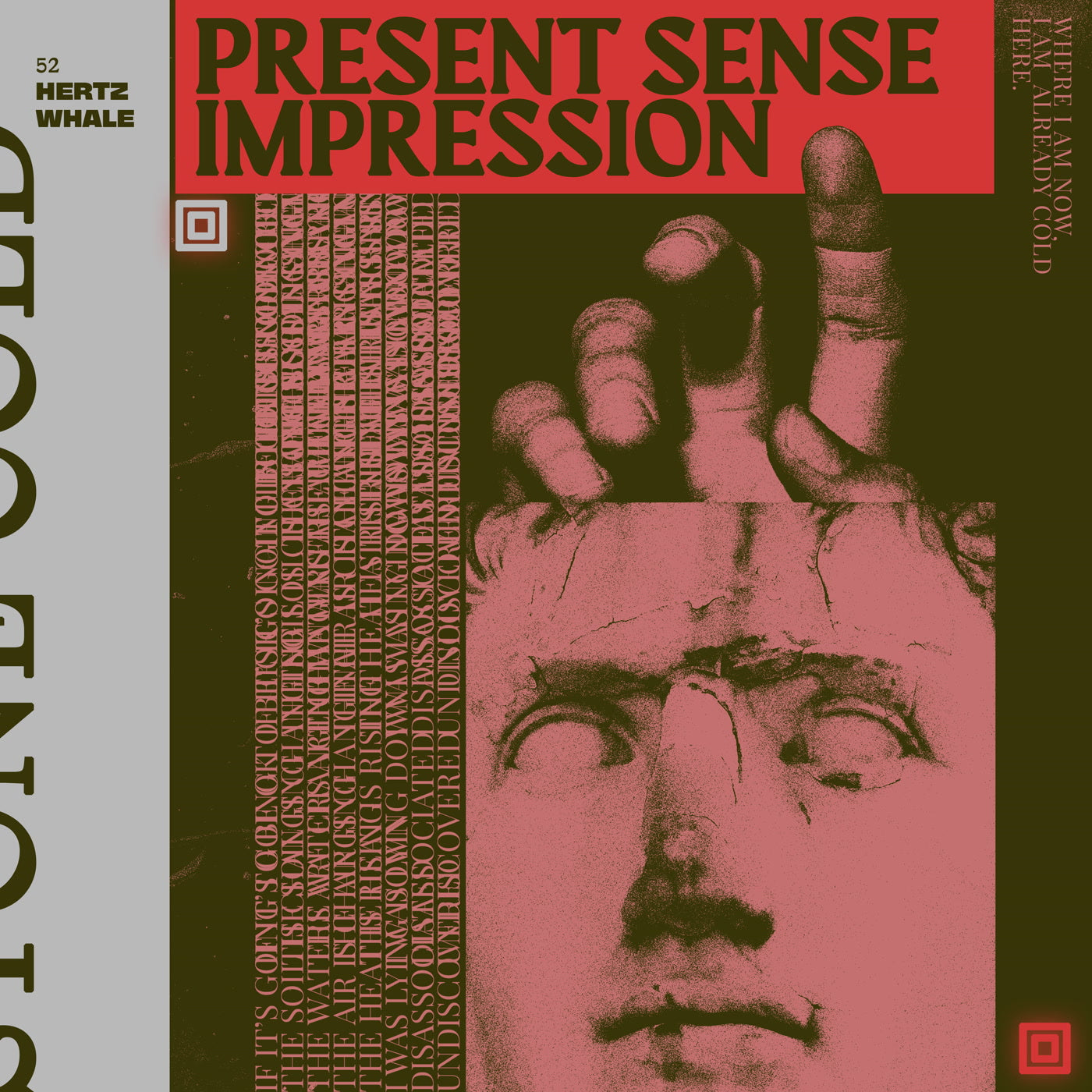 52 Hertz Whale - Present Sense Impression - Vinyl Record