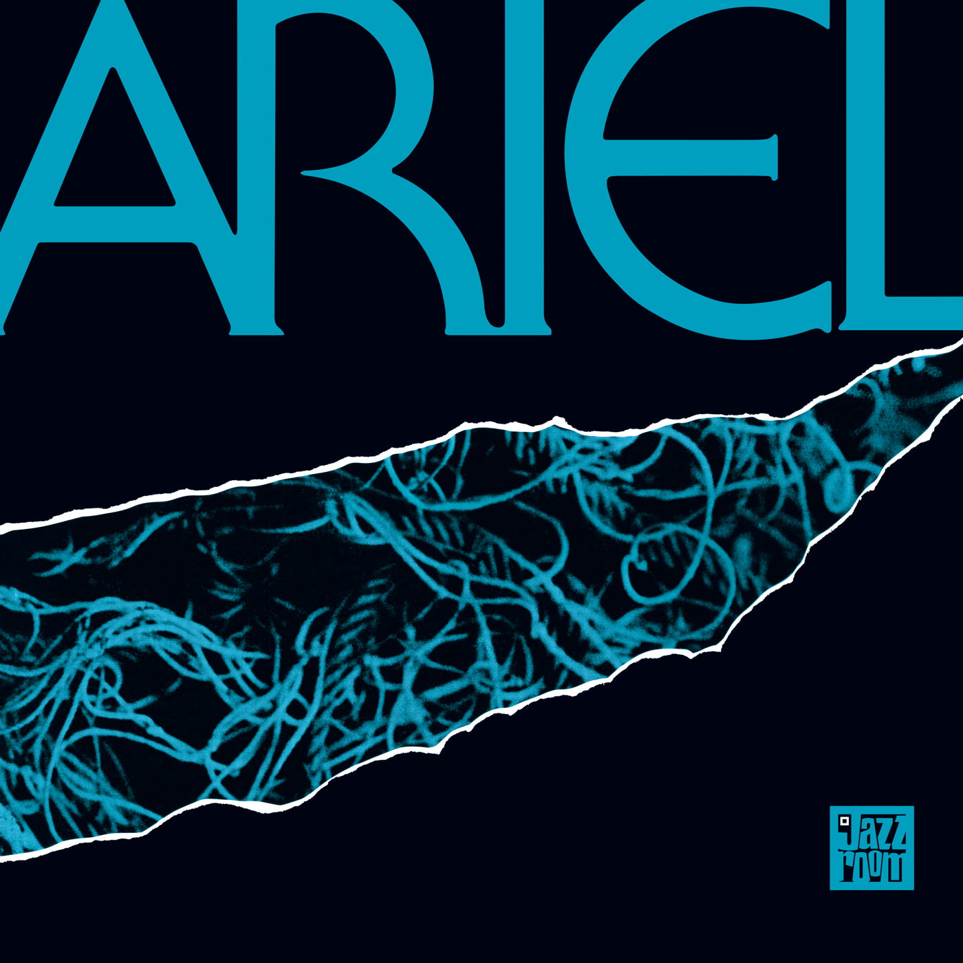ARIEL - (reissue) - Vinyl