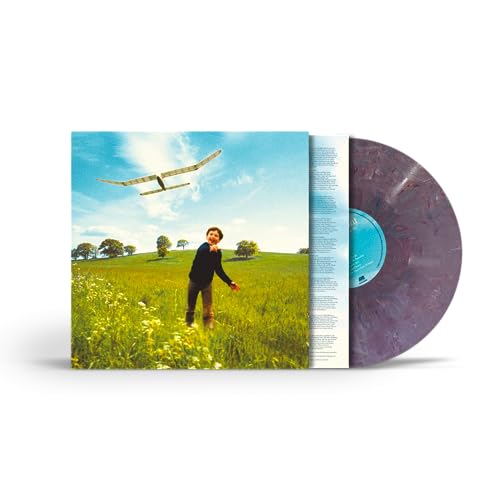 James Blunt - Who We Used To Be - Vinyl Record VINYL