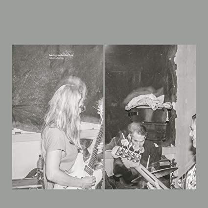 HEDVIG MOLLESTAD TRI - SMELLS FUNNY - Vinyl Record VL