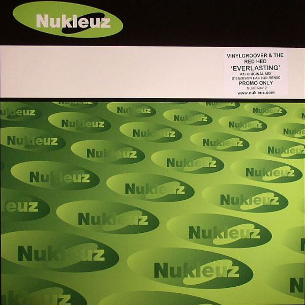Vinylgroover & The R - Everlasting - Used Vinyl Record 12"