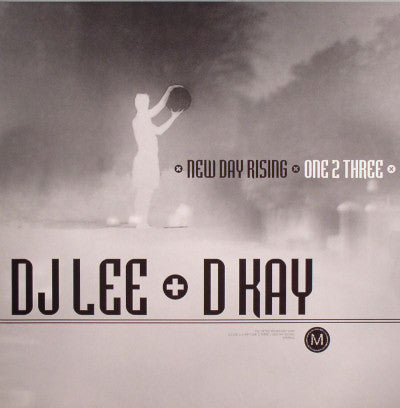 DJ Lee & D. Kay - One 2 Three / New Day Rising - Used Vinyl Record 12