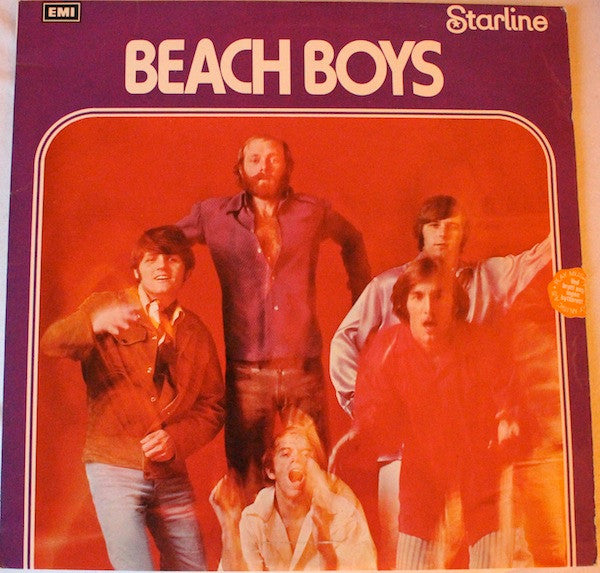 Beach Boys - Used Vinyl Record