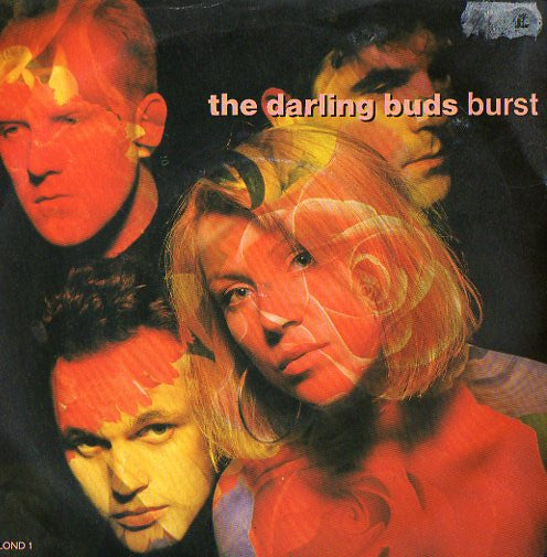 Darling Buds - Burst - Used Vinyl Record 7"