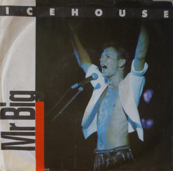 Icehouse - Mr Big - Used Vinyl Record 7"