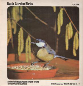 No Artist - Back Garden Birds - Used Vinyl Record