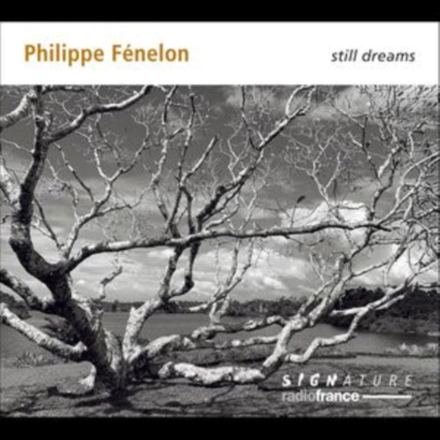 QUATUOR DIOTIMA; FLO - PHILIPPE FENELON STILL DREAMS - CD