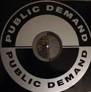 V.P.D. - Celebrate The World - Used Vinyl Record 12"