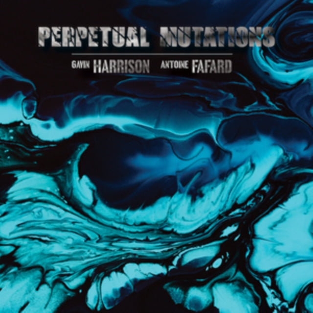 Gavin Harrison & Ant - Perpetual Mutations - Vinyl Record