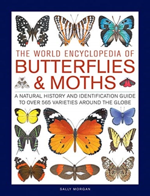 Sally Morgan - Butterflies & Moths, The World Encyclopedia of : A natu