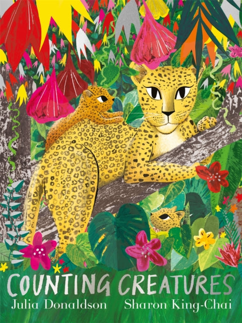 Julia Donaldson - Counting Creatures - Paperback