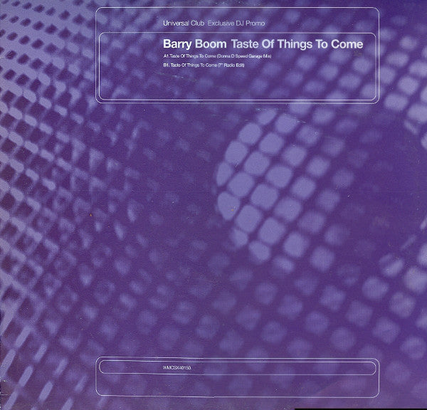 Barry Boom - Taste Of Things To Come - Used Vinyl Record 12"