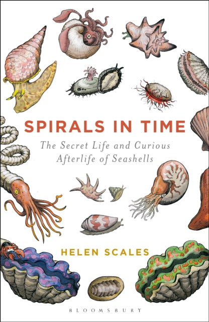 Helen Scales - Spirals in Time : The Secret Life and Curious Afterlife
