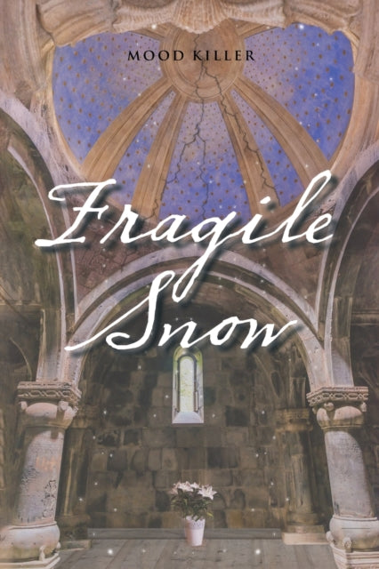 Mood Killer - Fragile Snow - New paperback or softback