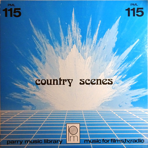 Various - Country Scenes - Used Vinyl Record