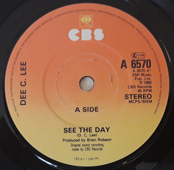 Dee C. Lee - See The Day - Used Vinyl Record 7"