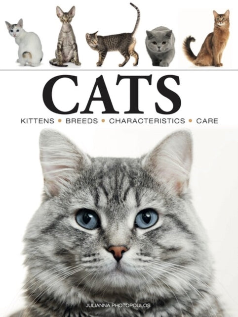 Julianna Photopoulos - Cats - Paperback