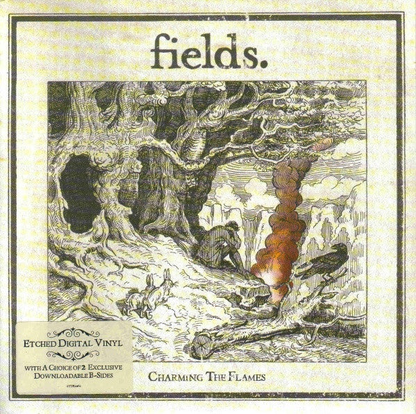 Fields - Charming The Flames - Used Vinyl Record 7"