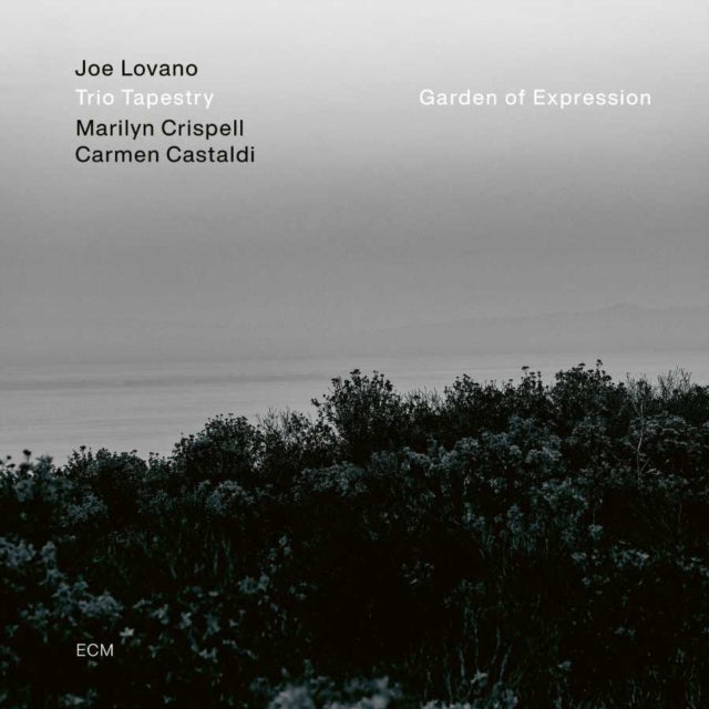 Garden of Expression - Vinyl Record
