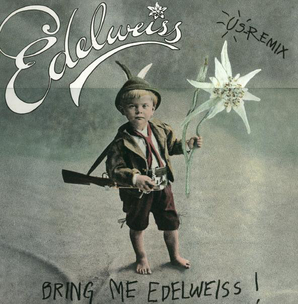 Edelweiss - Bring Me (US Remix) - Used Vinyl Record 12"