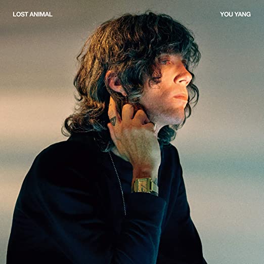 Lost Animal - You Yang - Vinyl Record