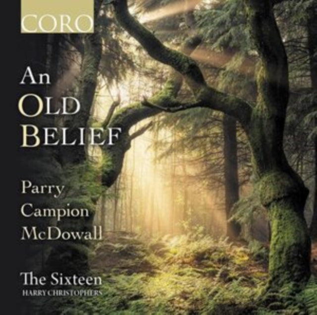 AN OLD BELIEF / VARI - CD