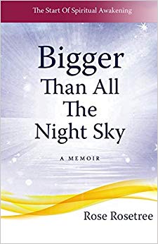 Rose Rosetr - Bigger Than All The Night Sky A Memoir - New Paperback