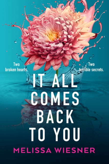 Melissa Wiesner - It All Comes Back to You : A totally emotional and g